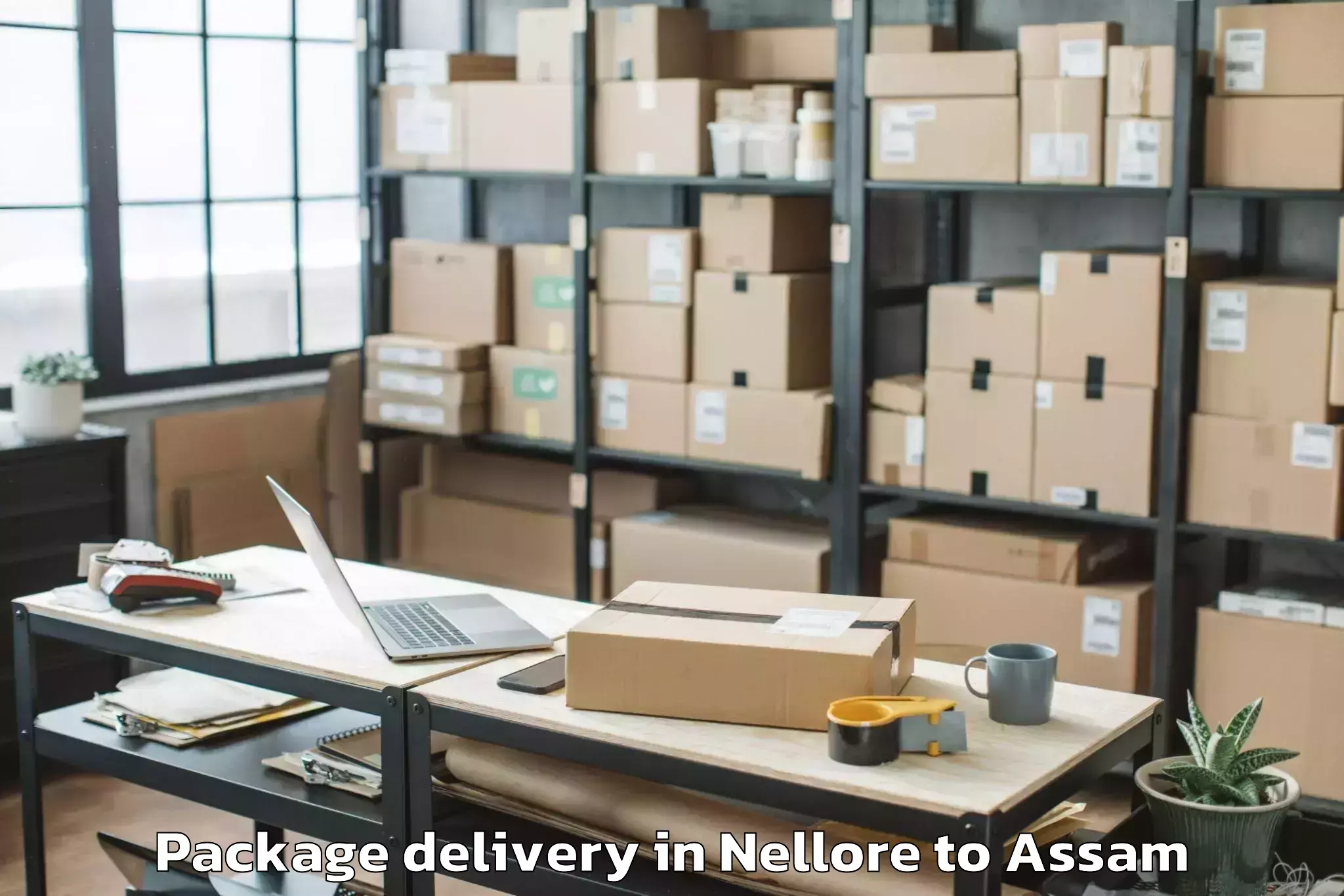 Trusted Nellore to Nagaon Package Delivery